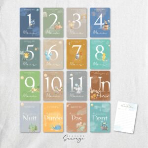 cartes etapes bebe fairy tales modele garcon