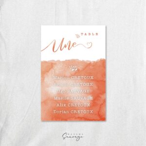 plan de table mariage aquarelle et lui peche